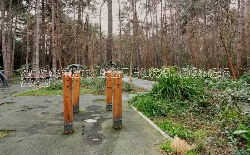 qy球友会-官方网站极氪智能科技